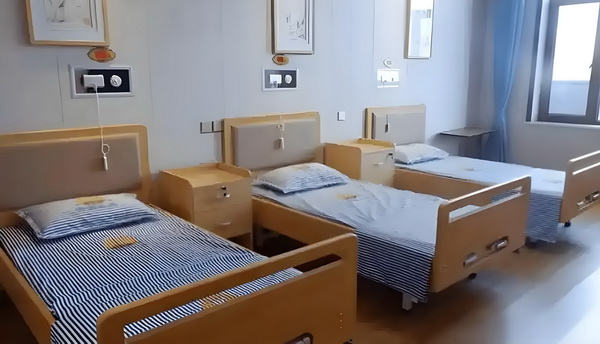 作家养成日记