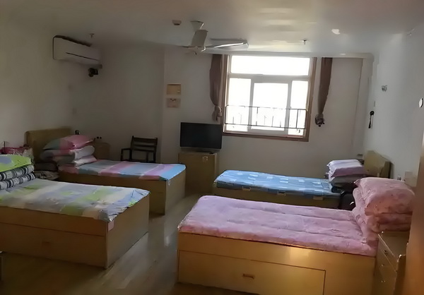 龙血之炼金修真者