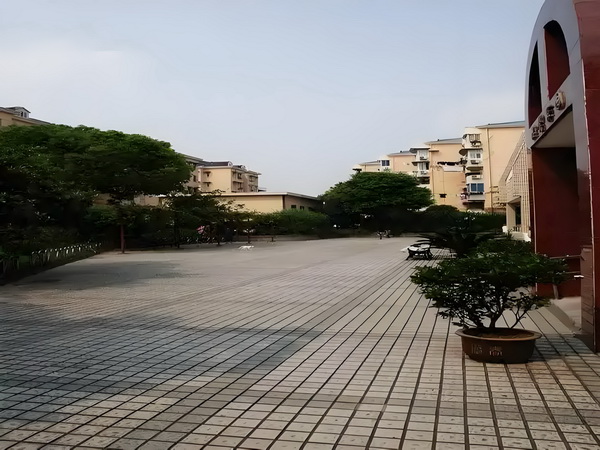 我不是孤独患者